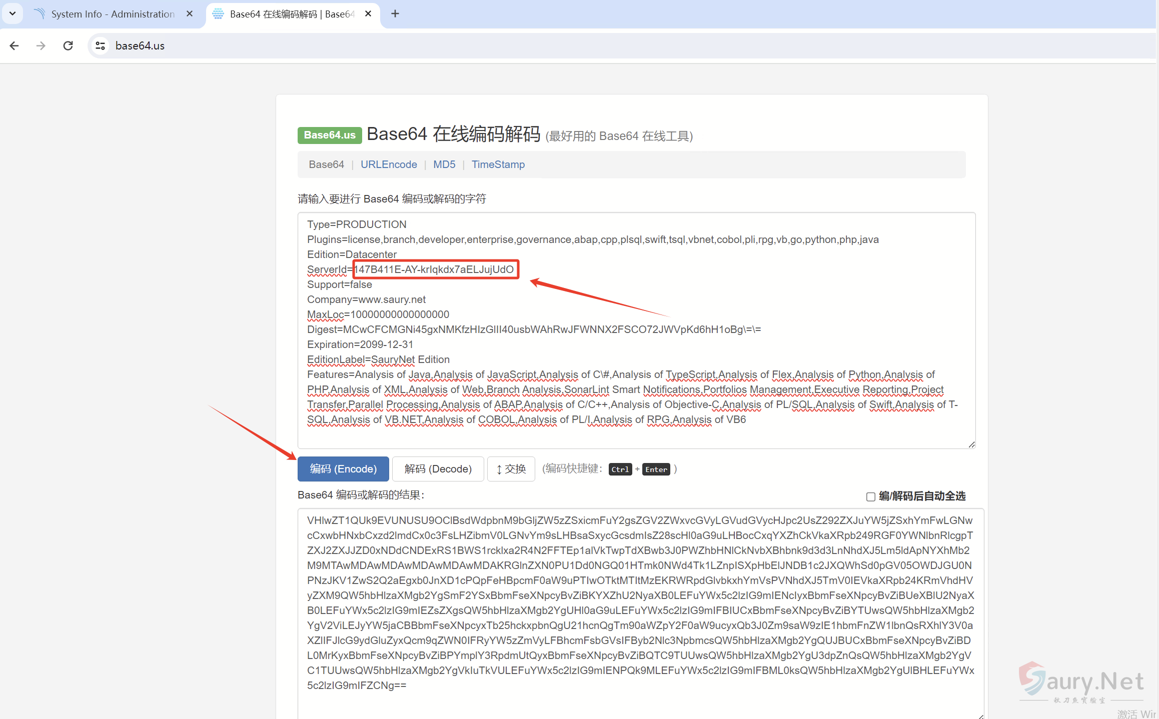 20240523172602319-图片